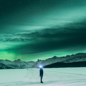 NORTHERN LIGHTS