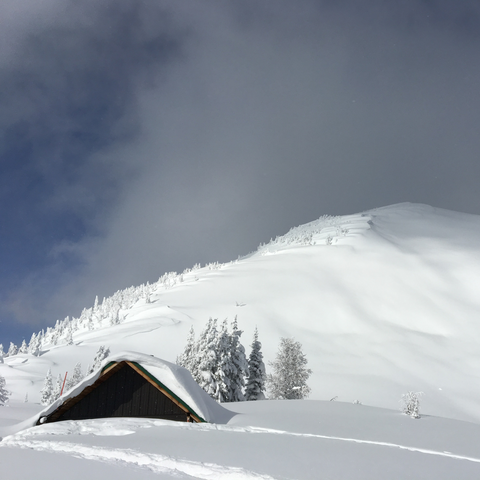 BACKCOUNTRY